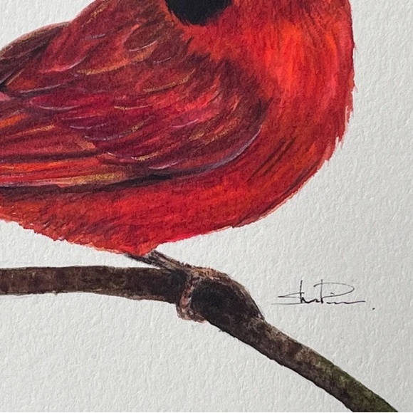 Original Watercolor Cardinal Bird Painting by me (Shannon Perrie/Perrie… - Picture 6 of 9